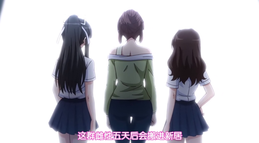 为了把继母和姐妹们赶出家门，他在家里装满了摄像头。